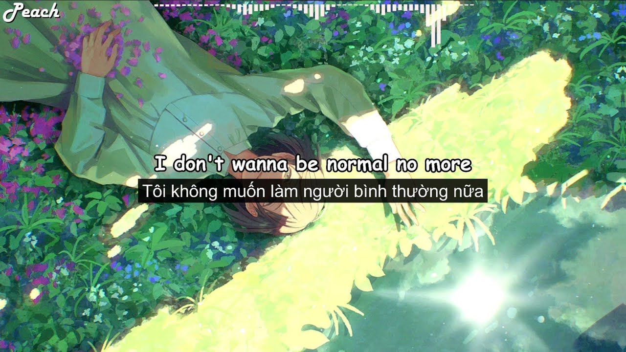 Normal No More - TYSM [Lyrics + Vietsub] __ hot Tik Tok __Peach ♫