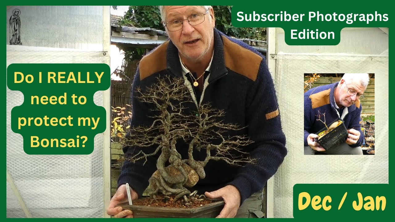 THINK AHEAD, Seasonal Bonsai Tasks, Dec / Jan (Winter)