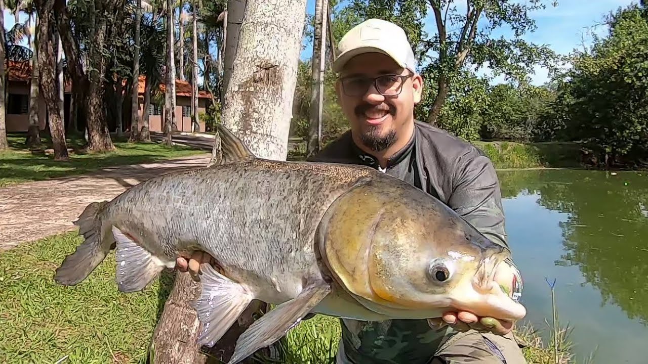 Dia de pesca! Dica de pesca carpa cabeçuda! Muito bom, acompanhe!