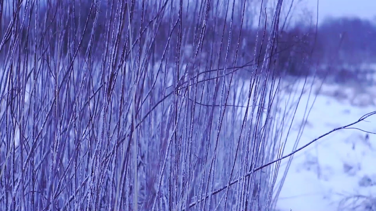 14012019