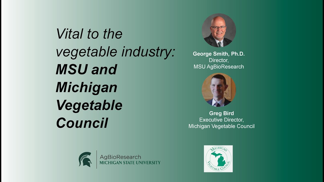 MSU AgBioResearch Podcast - Michigan ag leaders discuss vegetable research