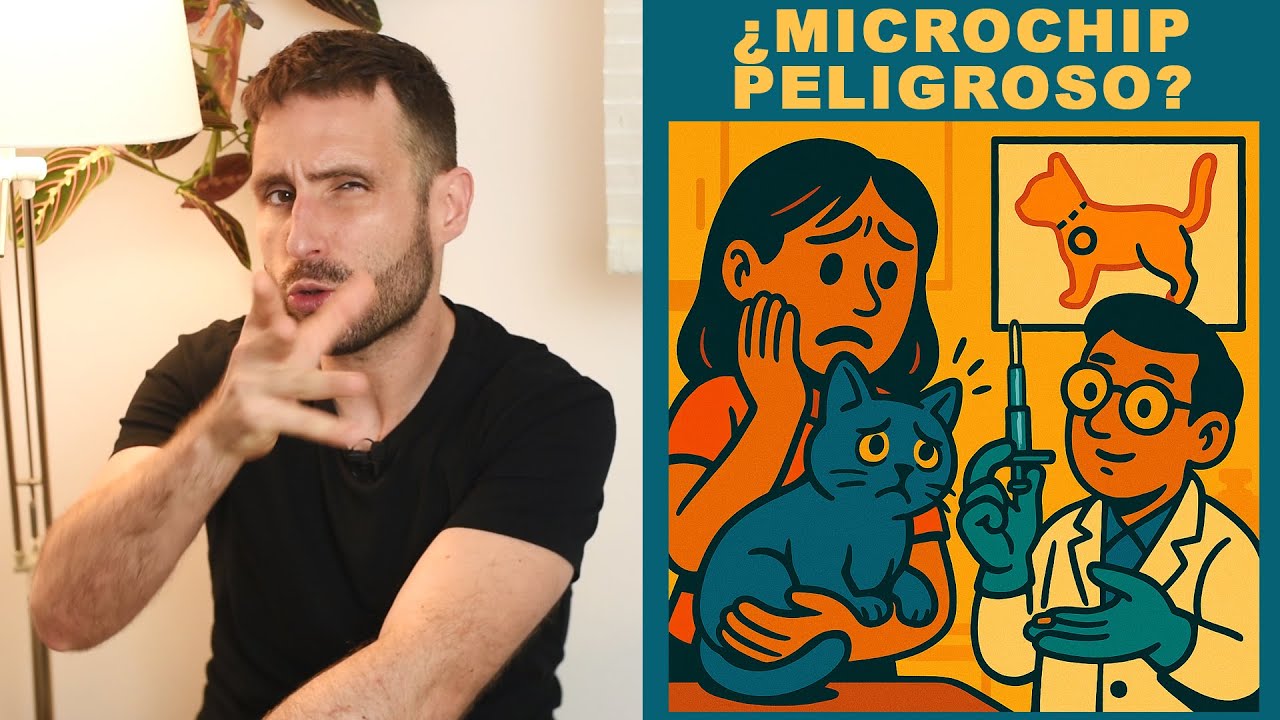 ¿Es peligroso ponerle microchip a mi gato?