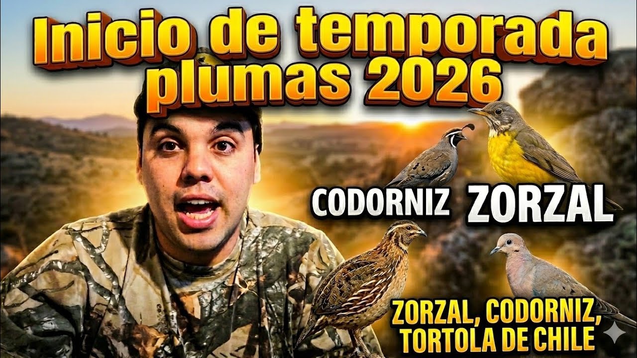 Inicio Temporada de Plumas 2026 / Rifle pcp R2 / M60 / Pr900r / caceria / codorniz /zorzal / Tortola