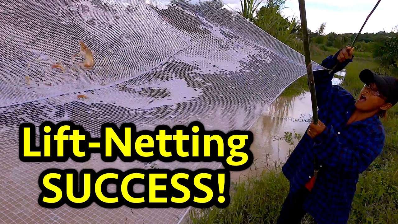 CATCHING Lots of FISH Using A Lift Net (Thailand's Rainy Season)