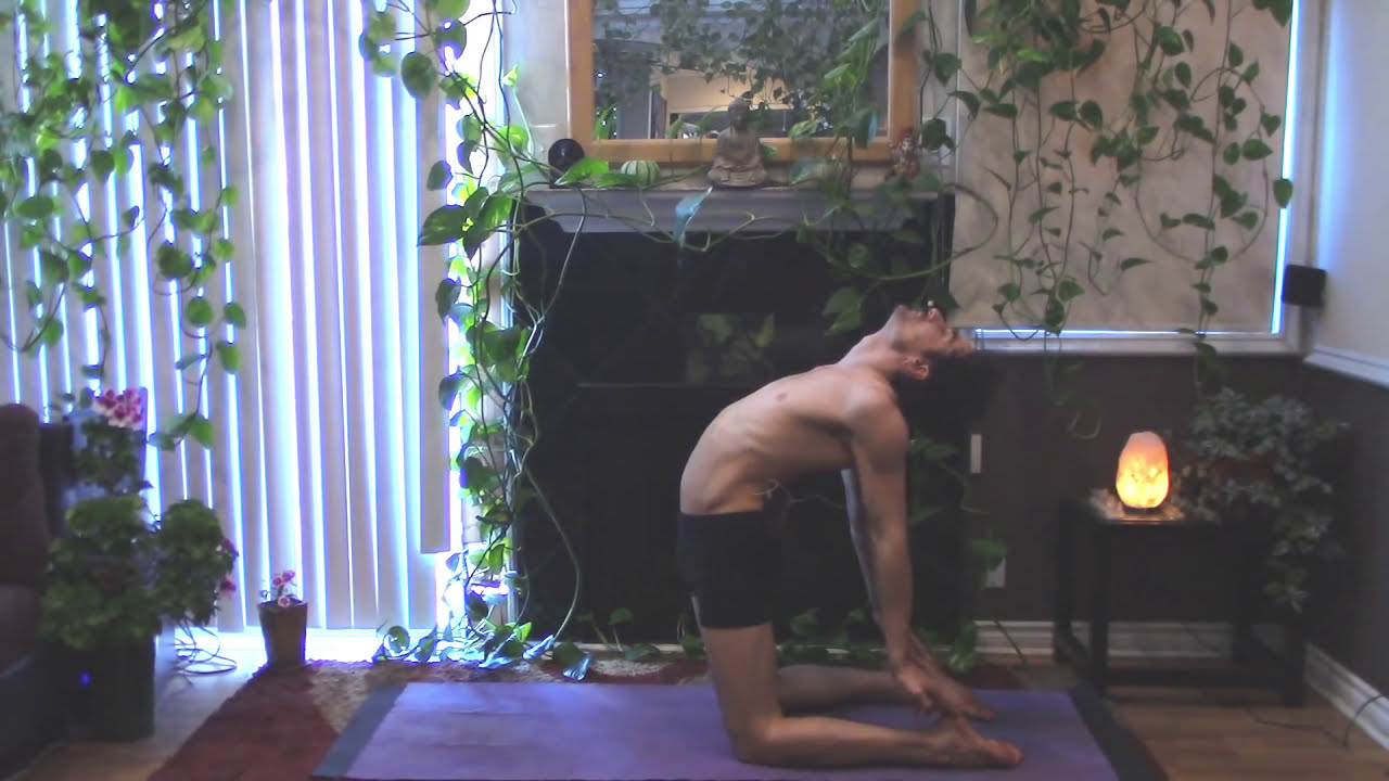 45 Minute Hatha Yoga Class for Core and Upper Body strength, by Stephen of FreeYoga.TV