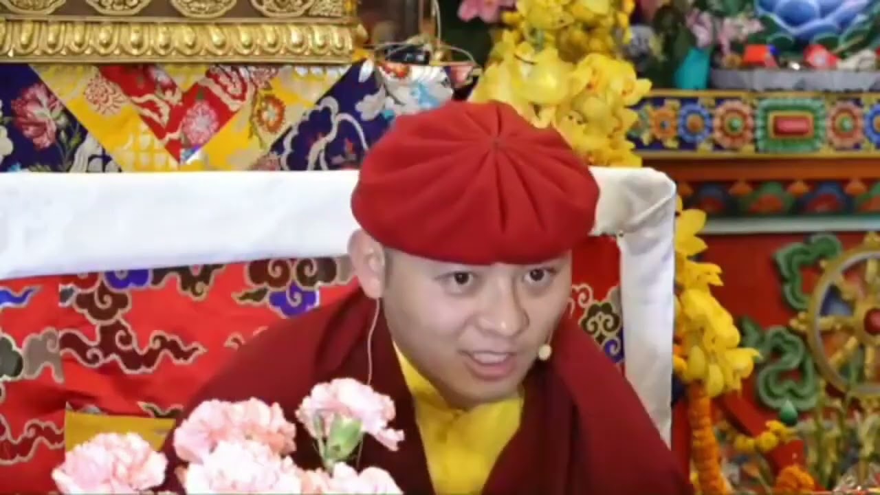 HE DRUKPA THUKSAY RINPOCHE TEACHING ON VEGAN