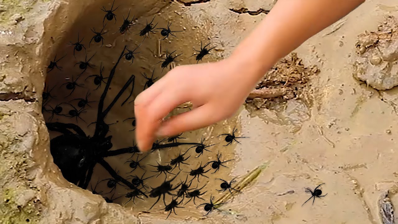 зачем я связался с этой ПАУЧЬЕЙ дырой...
