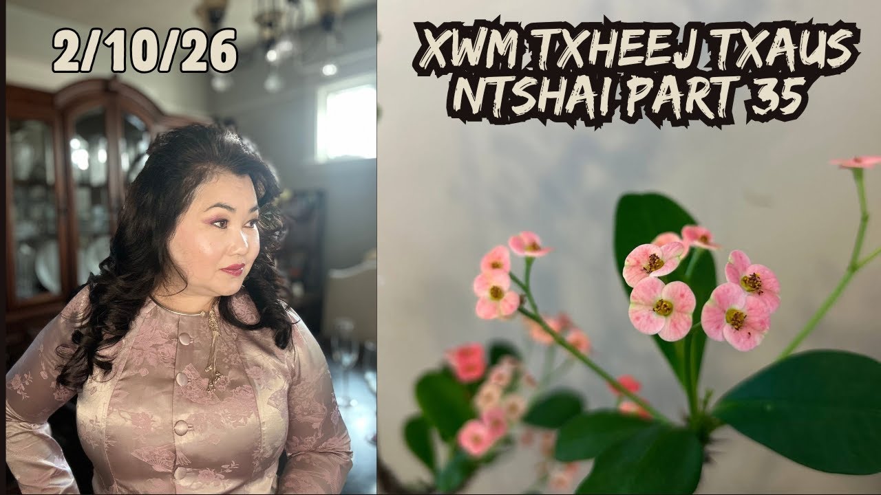 Xwm Txheej Txaus Ntshai Part 35 #Dabneeghmoob