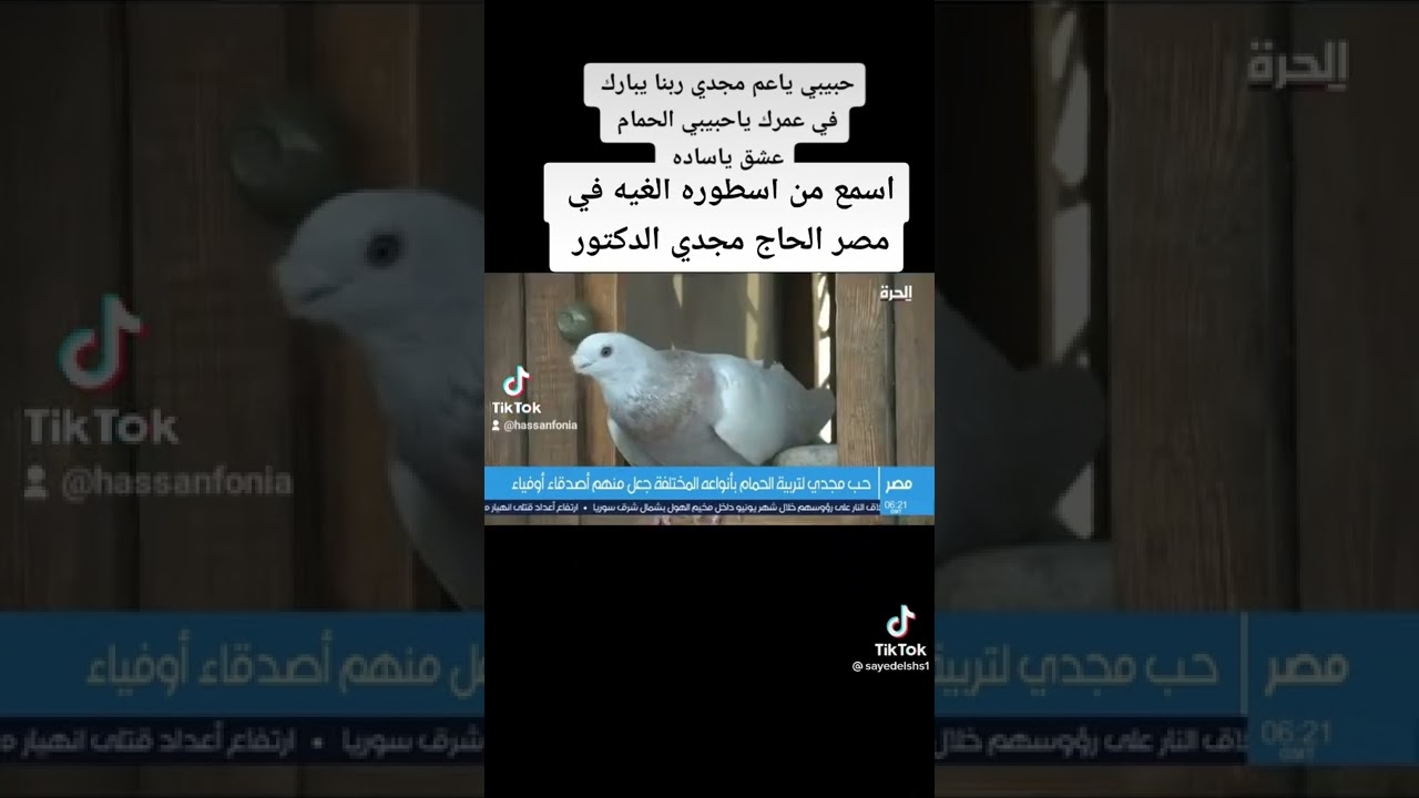 ٢٨ أغسطس ٢٠٢٢