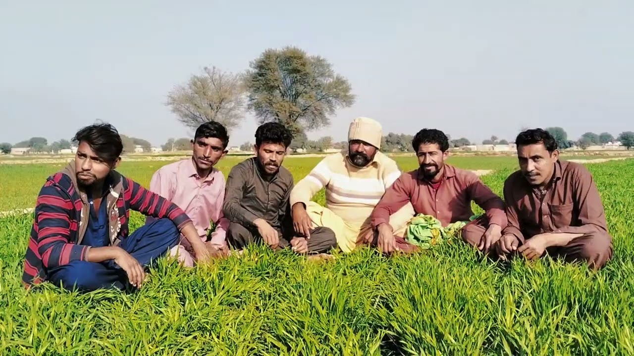 YouTube viral video foryou saraiki mahaul all dost shukriya