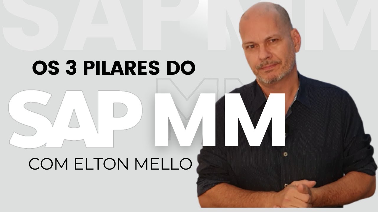 DICA SAP MM | Os Pilares do SAP MM - Dicas de SAP
