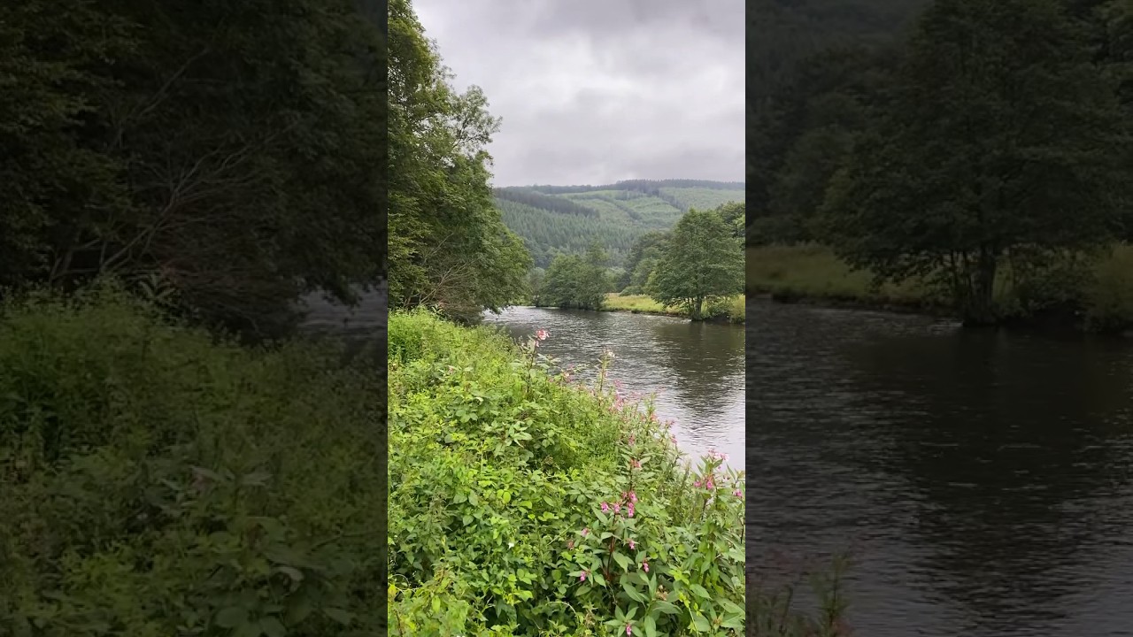 Ardennen La Roche Belgi&euml; 🇧🇪 follow me for daily nature conent