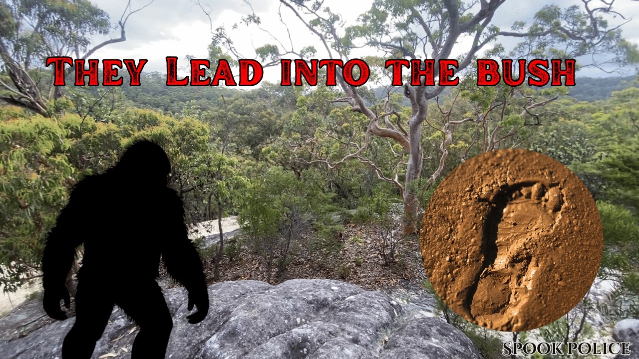 Follow the foot prints ( Searching for yowie footprints)
