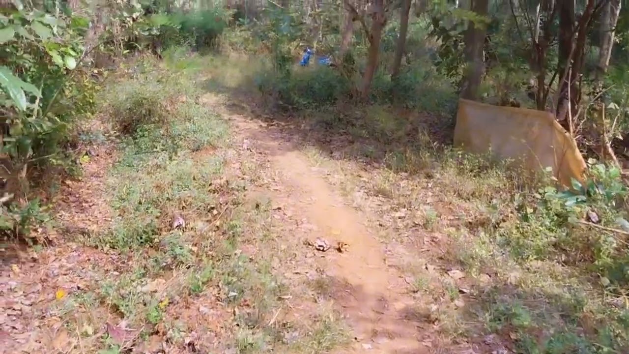 സെൻറ് ഒന്നിന്ഇരുപതിനായിരം രൂപ വെച്ച് പറമ്പായ സ്ഥലം വിൽപ്പനക്ക്#realestate