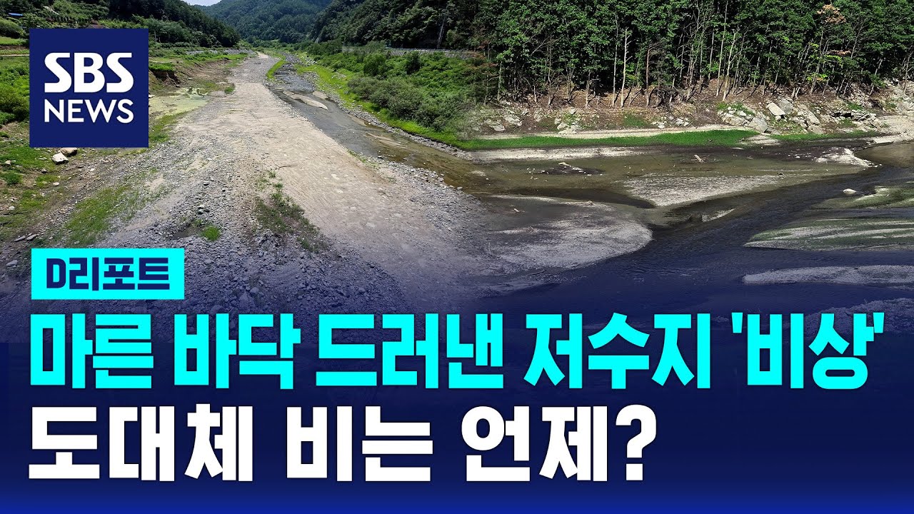 강릉 저수율 25%, 역대 최저치…농업용수 제한 급수 확대 / SBS / #D리포트
