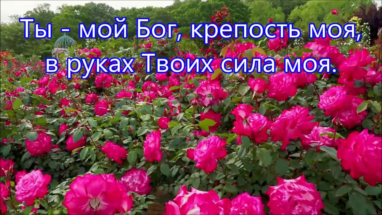Ты  мой Бог