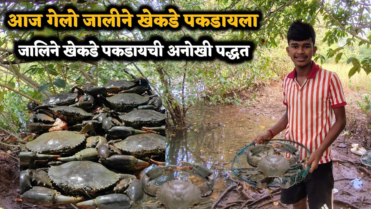 आज गेलो जालीने खेकडे पकडायला 🤩|| जालीने खेकडे पकडायची अनोखी पद्धत #कोकण #viralvideo #vlog #tending 