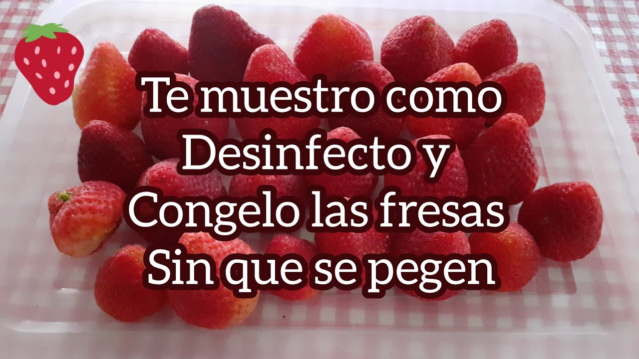 🖲COMO CONGELAR LAS FRESAS EN CASA/ CONGELACION  CASERA 🤔