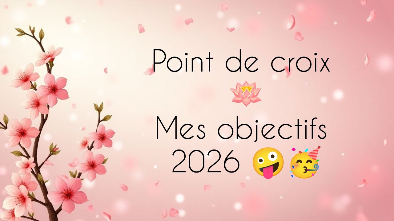 😜💖 Mes objectifs 2026 💖😜 on rigole 😂😂😂 #crossstitch #pointdecroix 😜😜 verdict ... 2027 hein 😂😂😂