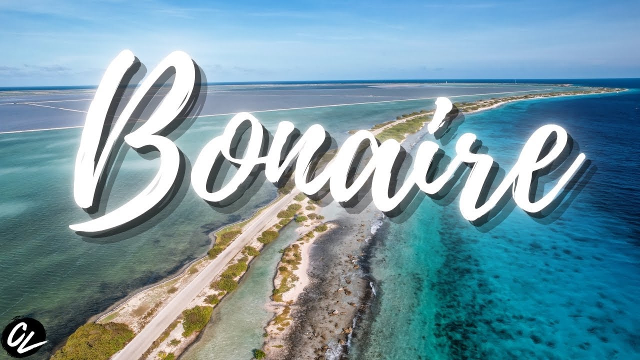Bonaire DRIVING Tour