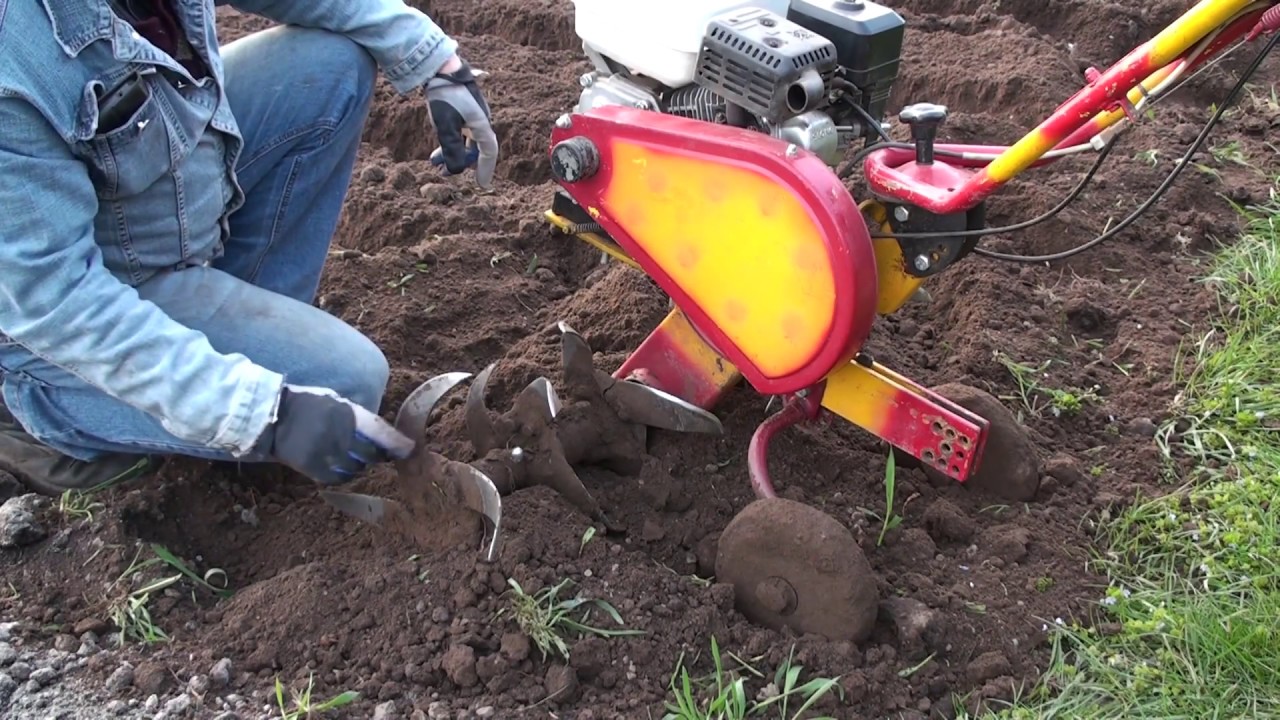 Фрезировка земли!Работа легкого мотоблока!!!Milling of the earth! Work of a light motoblock !!!
