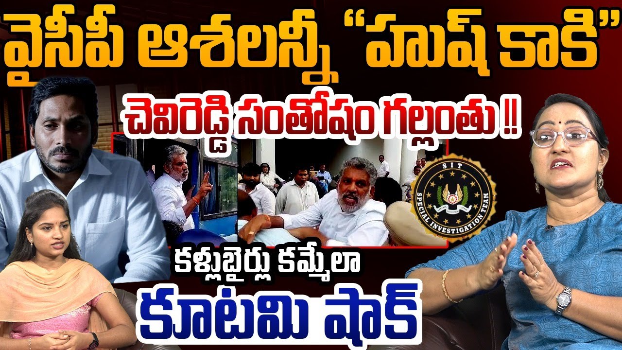 కళ్లుబైర్లు కమ్మేల కూటమి షాక్ |Social Activist Sreeleela on Chevireddy Bhaskar Reddy | YS Jagan | AP