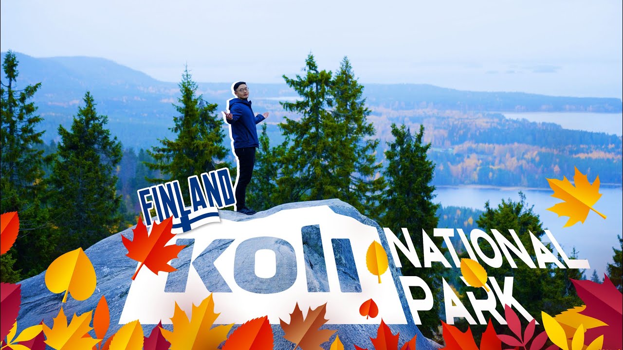 Golden Leaves & Misty Peaks, Finland’s Koli National Park in Autumn