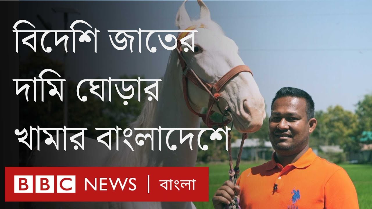কয়েক লাখ টাকা দামের বিদেশি ঘোড়া উৎপাদন হচ্ছে এখন বাংলাদেশের খামারে । BBC Bangla
