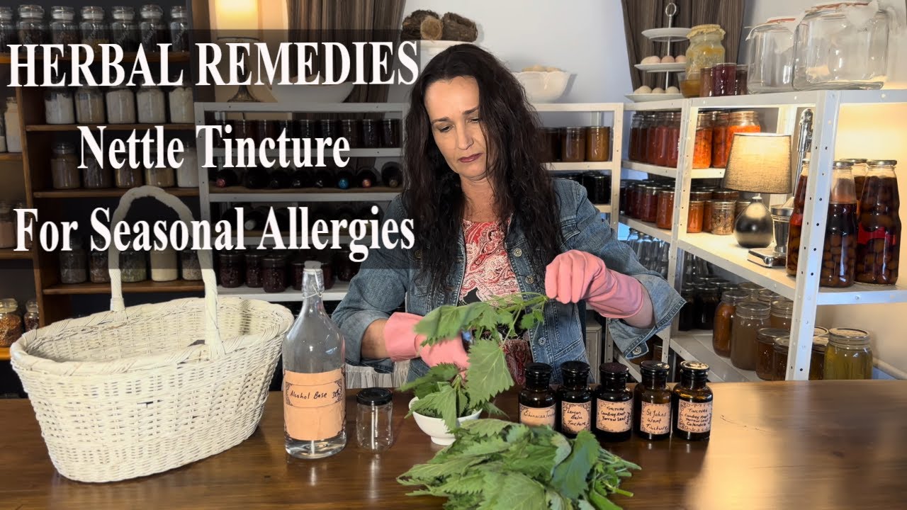 Nettle Tincture For Seasonal Allergies / Herbal Remedies Stinging Nettles