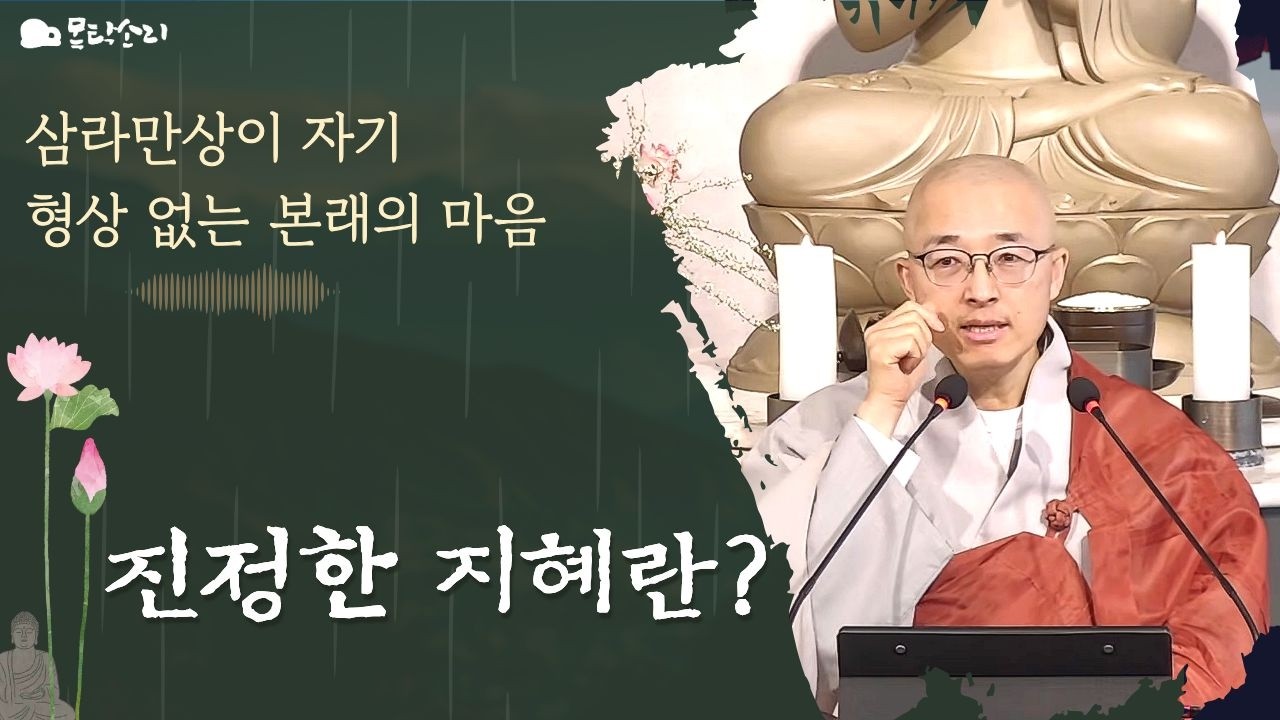부산 목탁소리 토요법회 실시간 법문