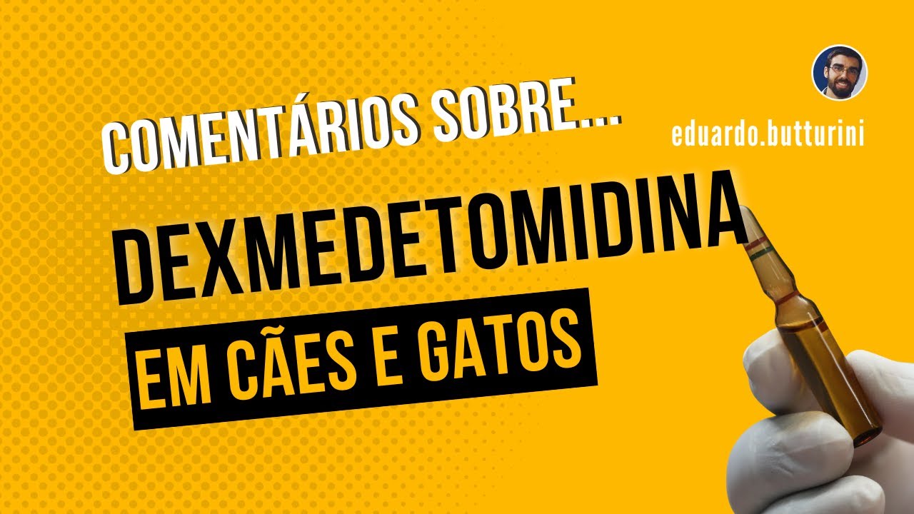 Efeitos indesejados e contraindicações da dexmedetomidina em cães e gatos