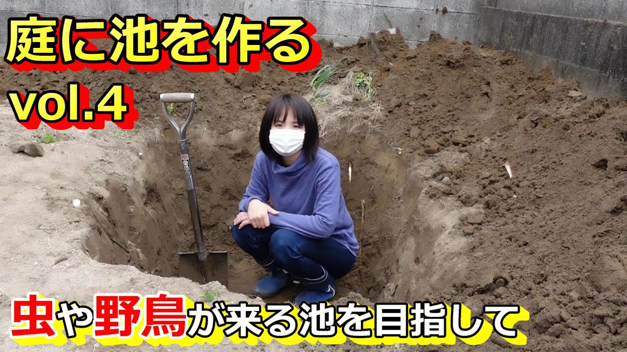 庭に池を作るvol.4虫や野鳥が来る池を目指して