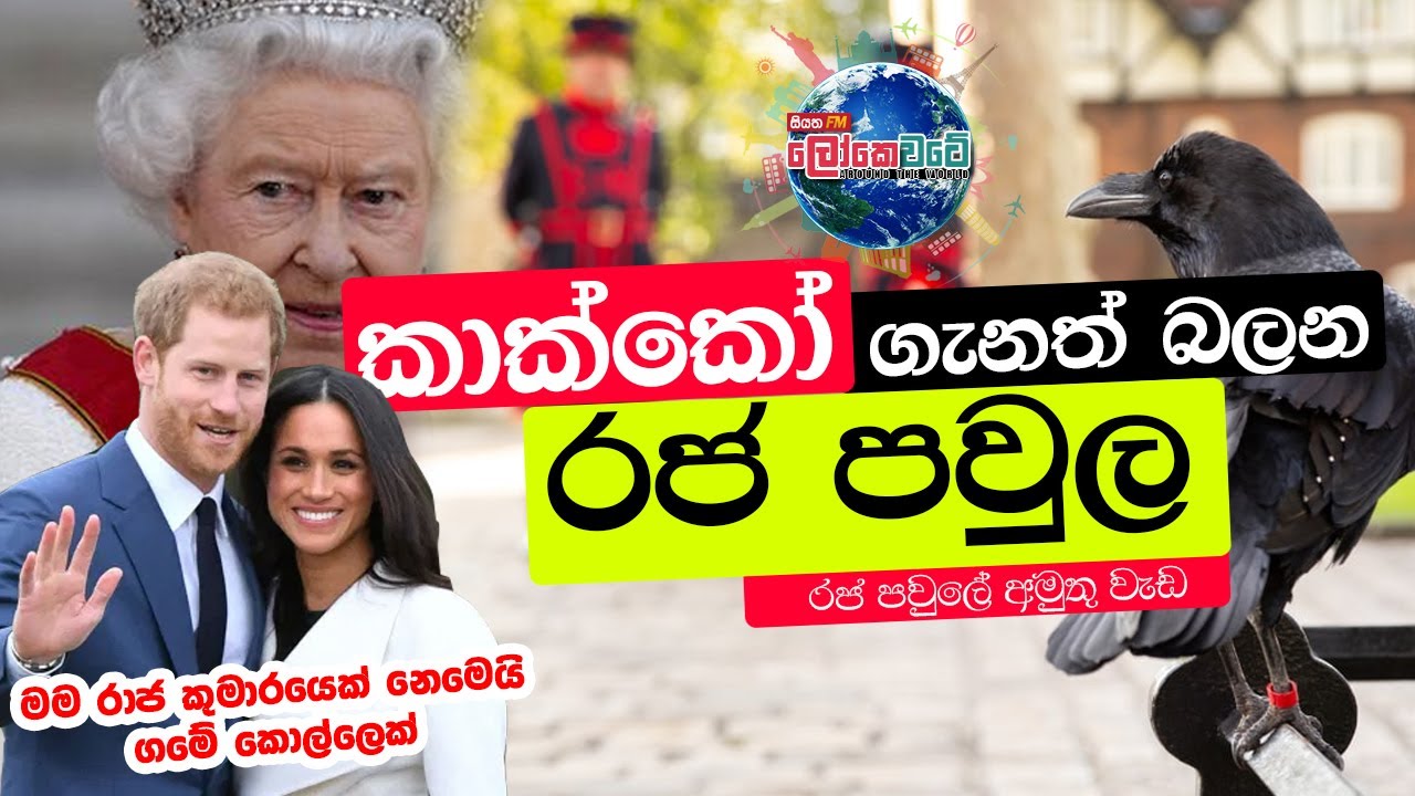 කාක්කෝ ගැනත් බලන රජ පවුල | LOKE WATE