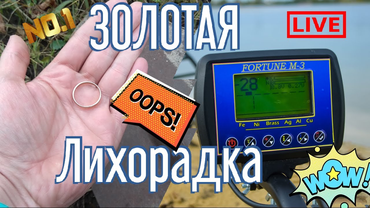Фортуна М3 - поиск в лесу. Отличный отдых + интересные находки. Fortune M3 - search in the forest.