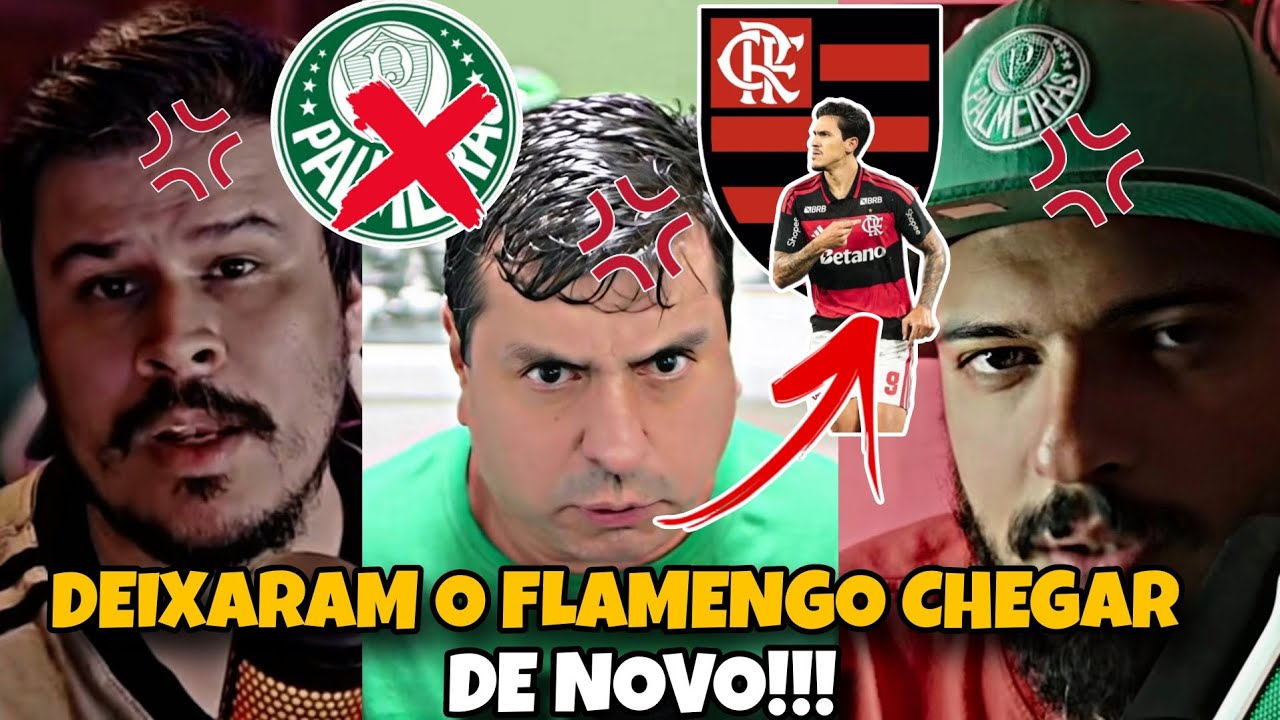 OS PALMEIRENSES JÁ ESTÃO DESESPERADOS COM O FLAMENGO KKKK ( TURMA DO AMENDOIM, NIOQD E MAIS )