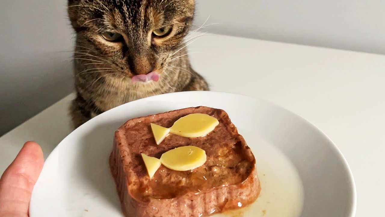 Cat Eating Pollock & Cheese 🧀 | ASMR