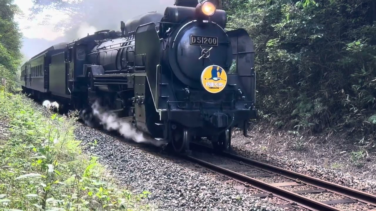 山口線SL D51