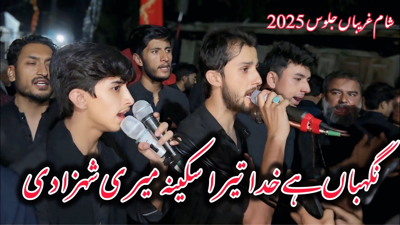 Nigahbaan Hain Khuda Tera Sakina Mari Shehzadi | Markazi Matami Dasta Mehdiabad | Muazzam Ali Mirza