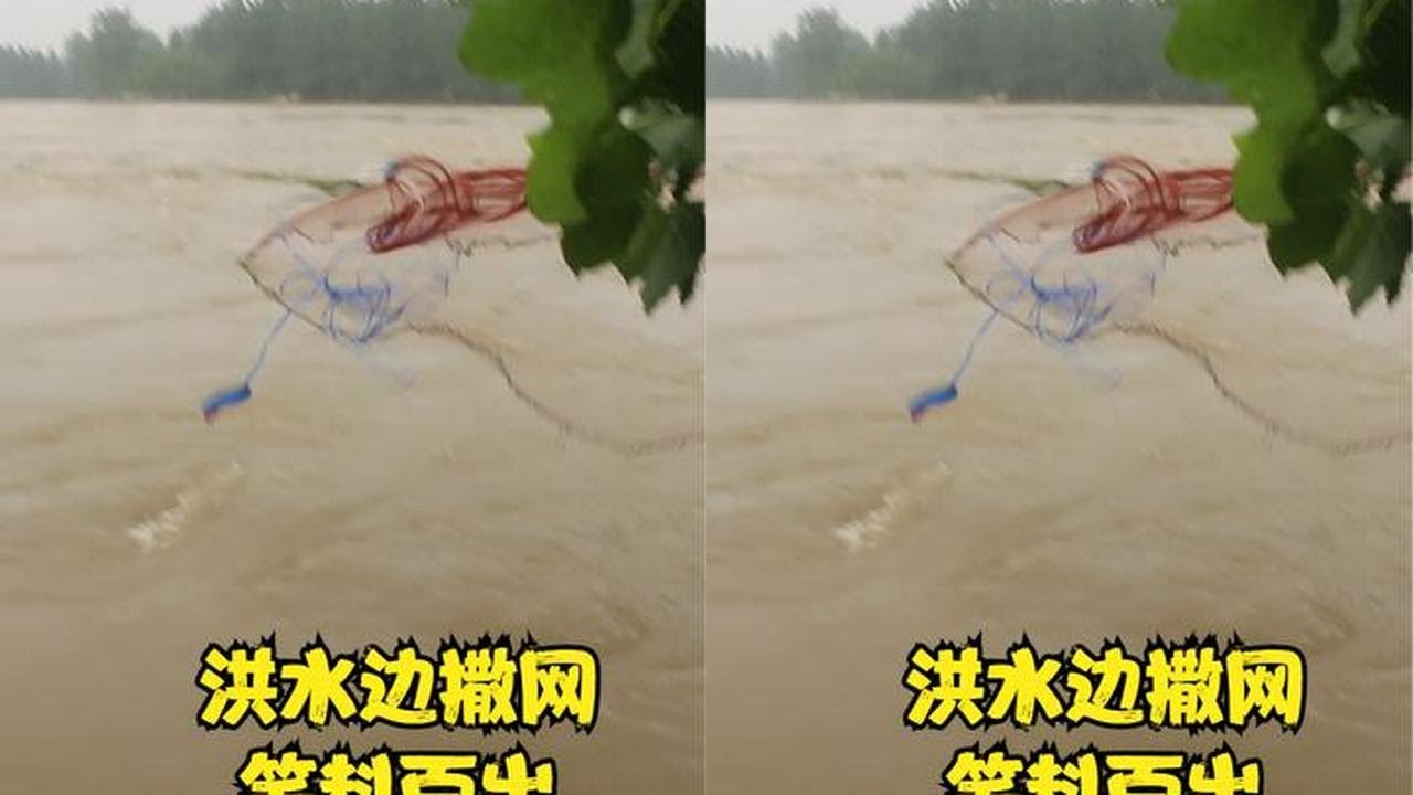 大闸泄洪，岸边成群撒网人笑料百出，野生翘嘴三网就能打一桶  #户外撒网捕鱼 #捕鱼达人