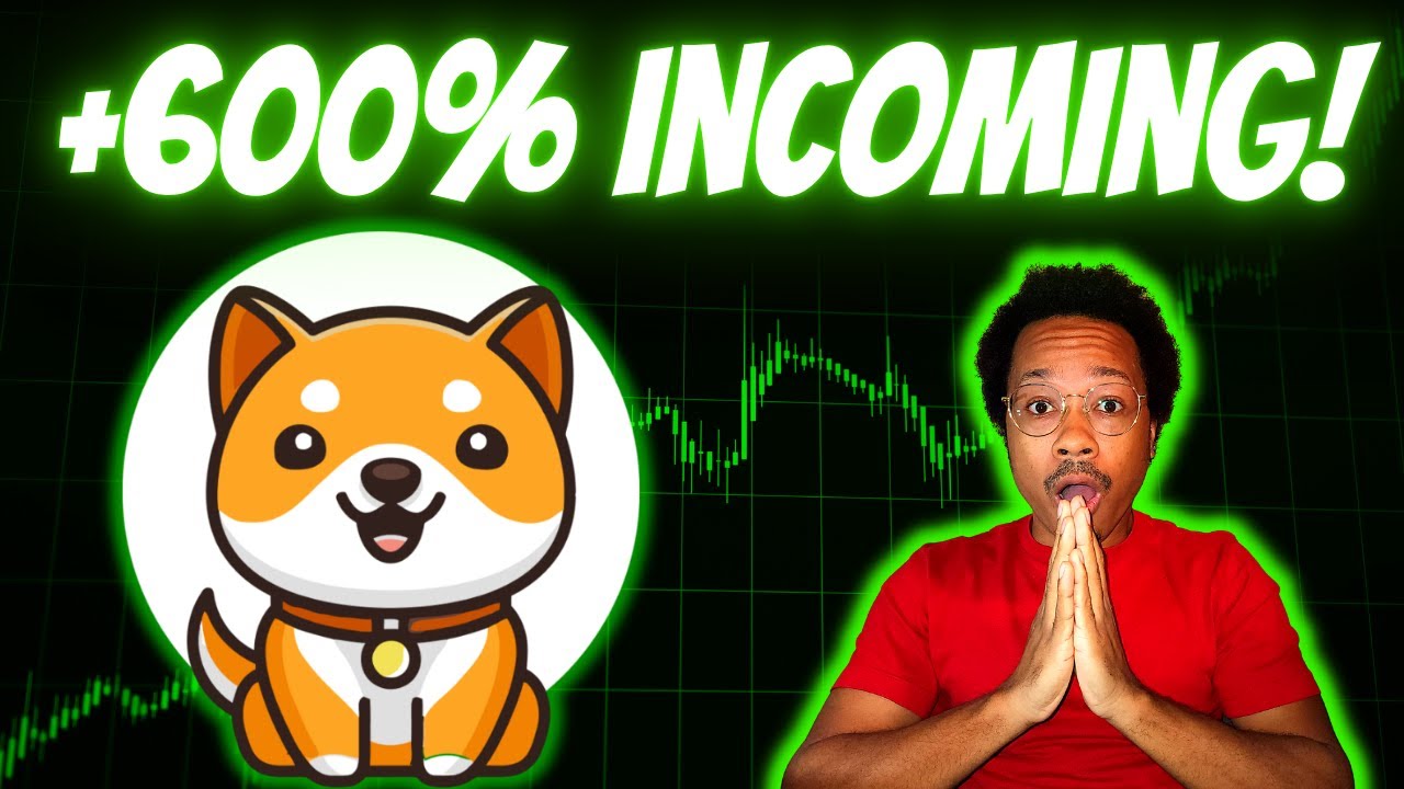 The NEXT BABY DOGE PUMP Is Coming SOON!