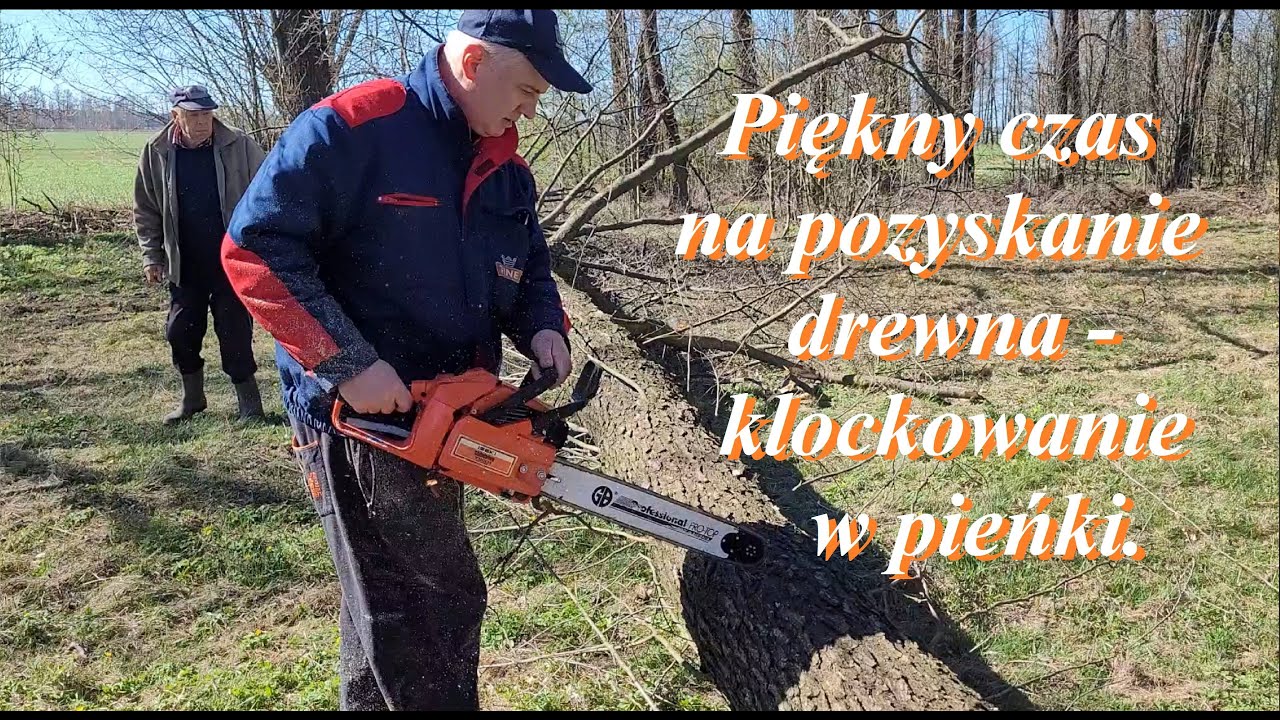 Wiosenne prace leśne na Mazowszu, Shindaiwa Iseki YB 901.