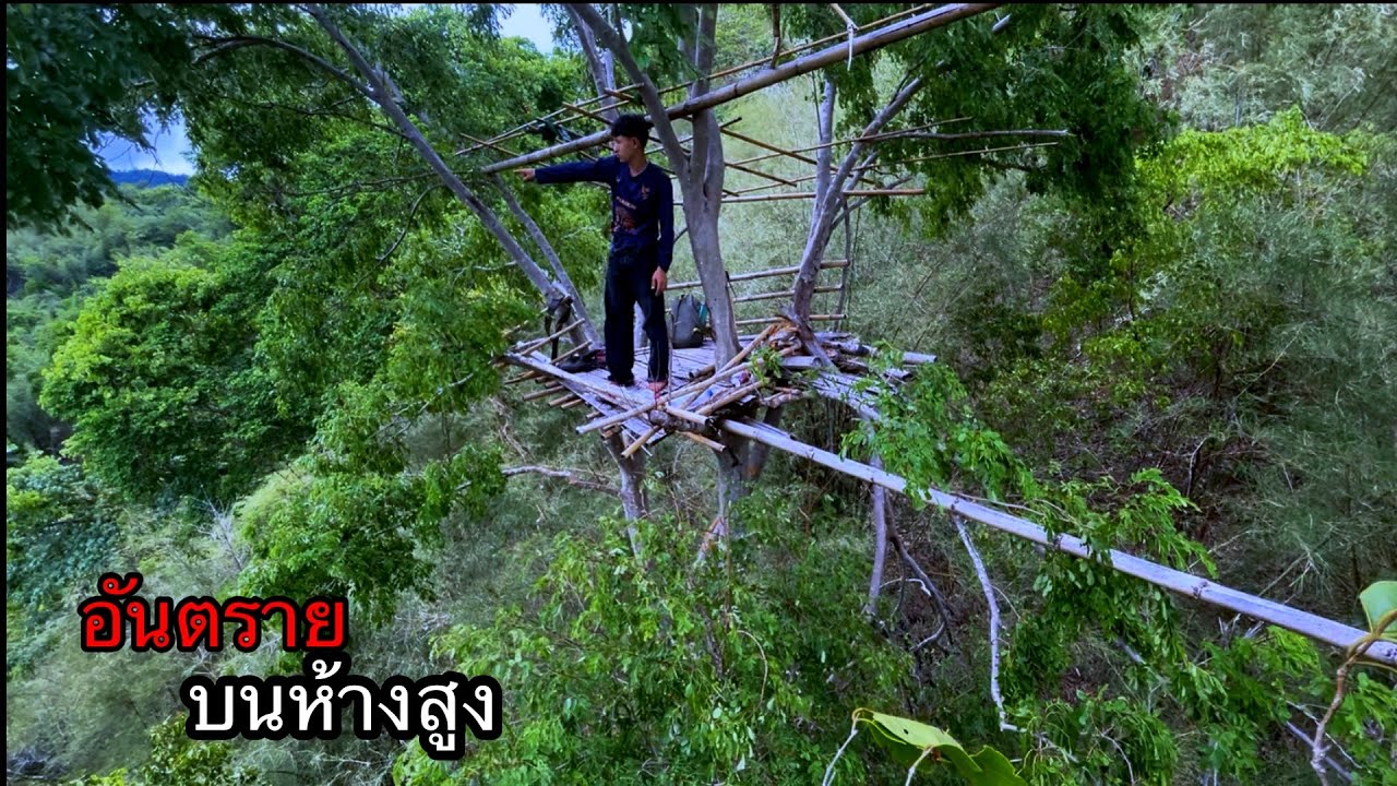 เกือบไม่รอดออกจากป่าลงห้างแทบไม่ได้
