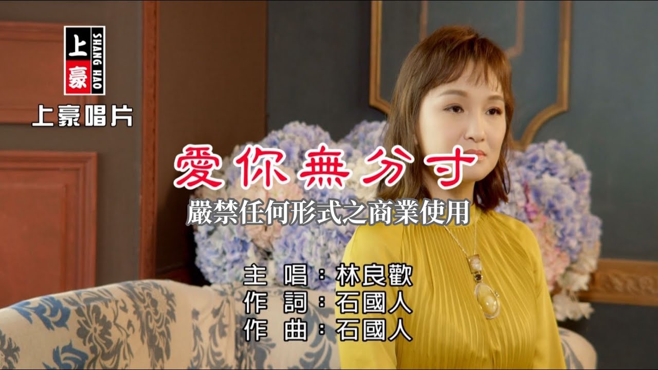 林良歡-愛你無分寸【KTV導唱字幕】1080p HD