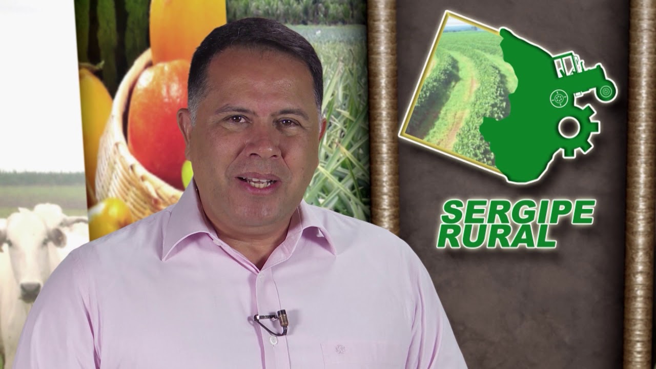 Sergipe Rural - PROGRAMA 243