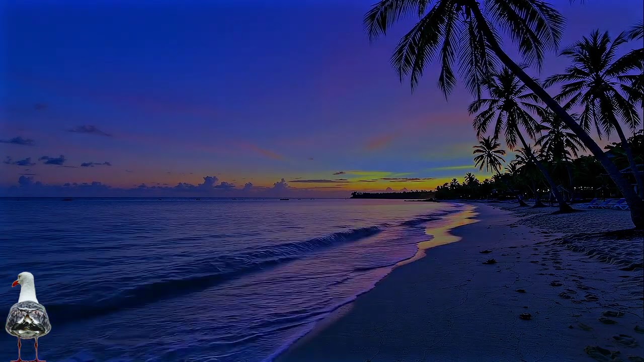 Музыка для сна 🌙 Морские волны (музыка для сна) Звуки моря, чайки
