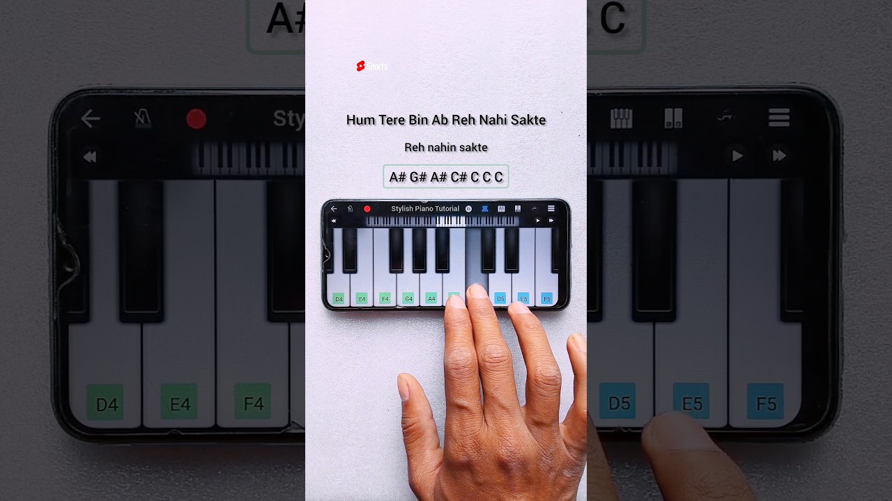 Hum Tere Bin Ab Reh Nahi Sakte | Easy Tutorial