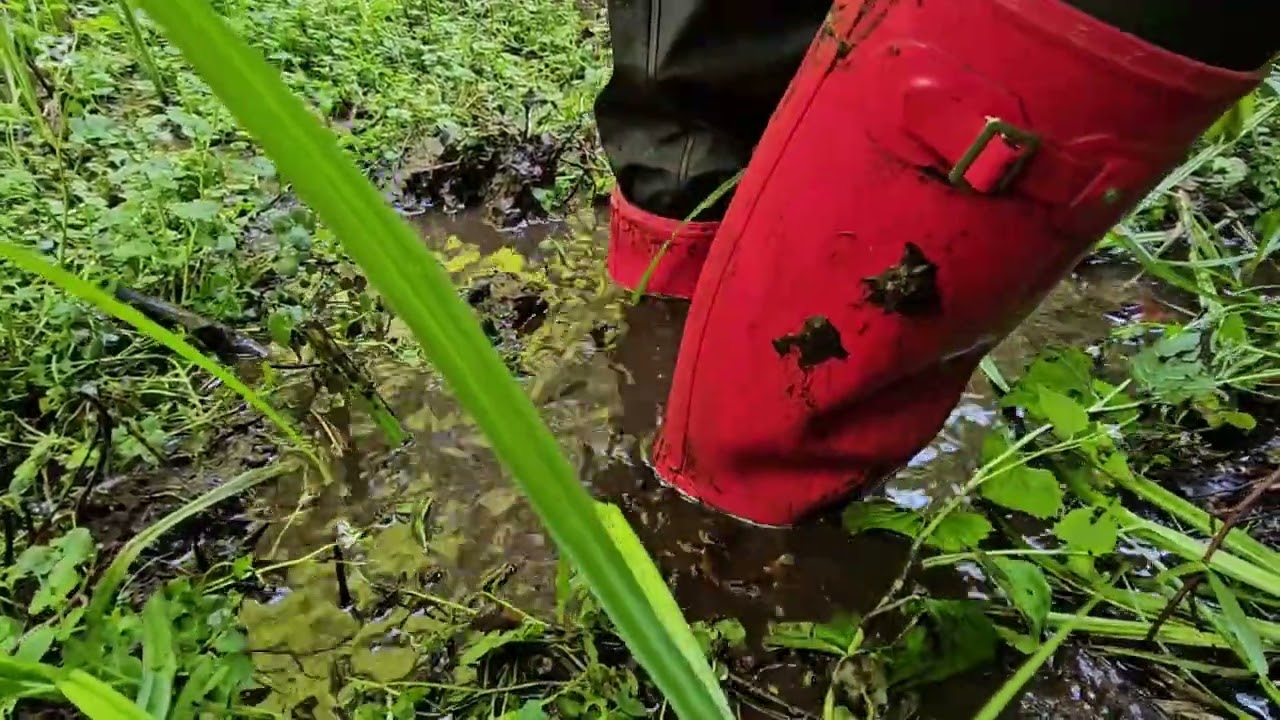 Hunter Boots in mud (2)
