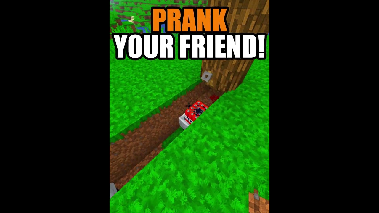 💥MINECRAFT TNT PRANK [CONFIDENCE]