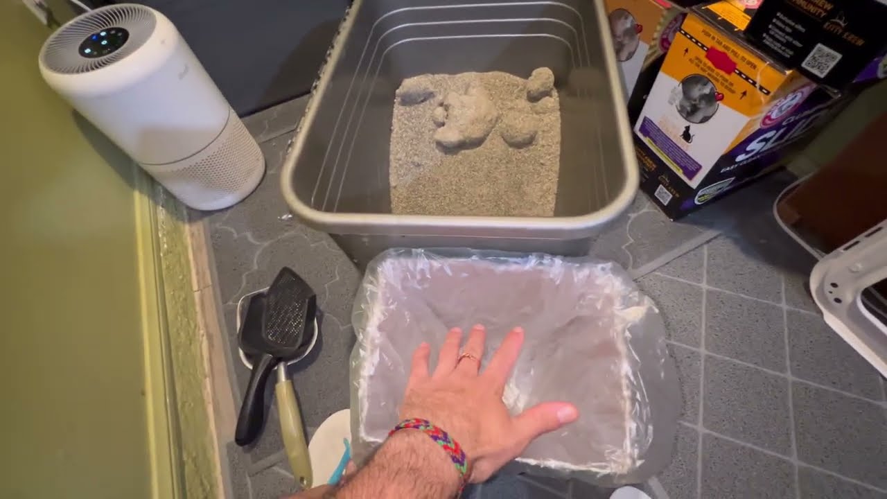 How I clean 14 cats Litter
