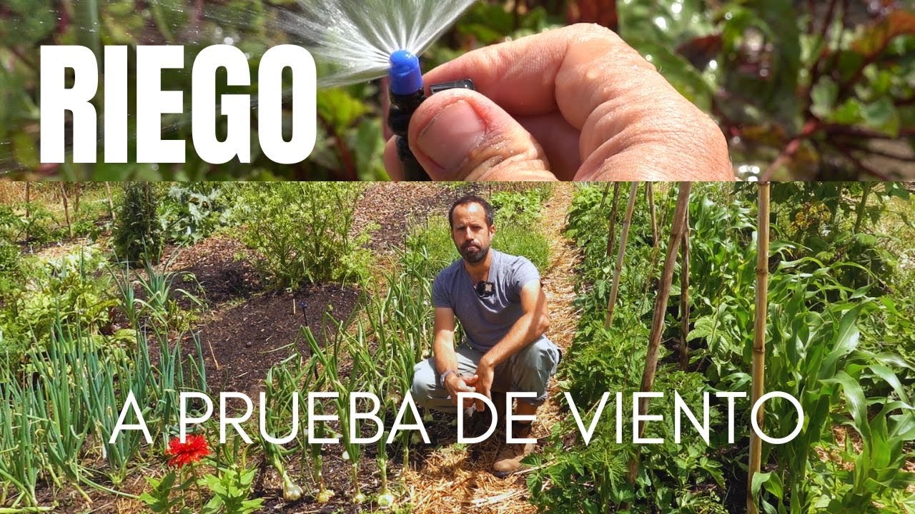 Nuevo RIEGO DE CALIDAD | Microaspersión a prueba de viento